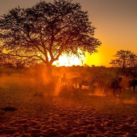 Bagatelle Kalahari Boutique Farmhouse Lodge مارينتل المظهر الخارجي الصورة