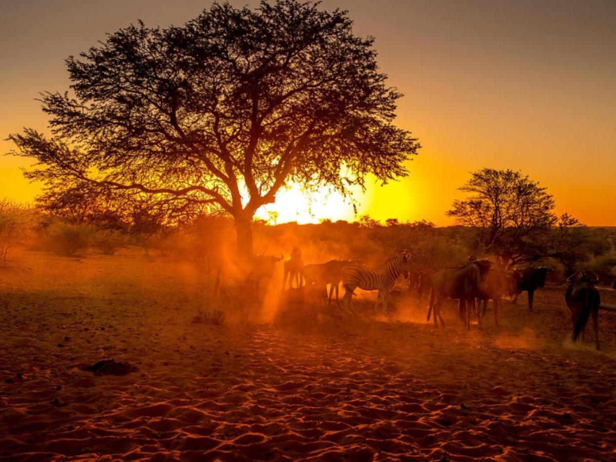 Bagatelle Kalahari Boutique Farmhouse Lodge مارينتل المظهر الخارجي الصورة